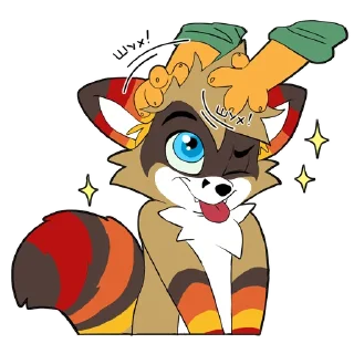 Sticker Raccoon Acelar - 9