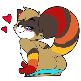 Sticker Raccoon Acelar - 10