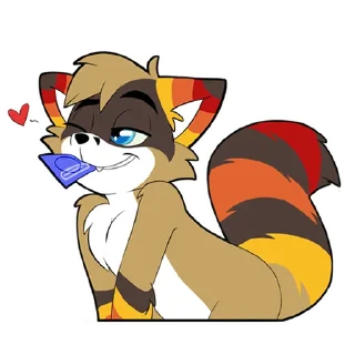 Sticker Raccoon Acelar - 5