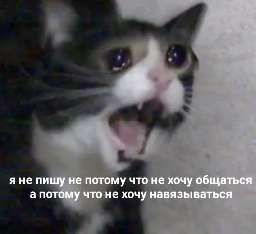 Стикер че та типа мемав ваших - 5