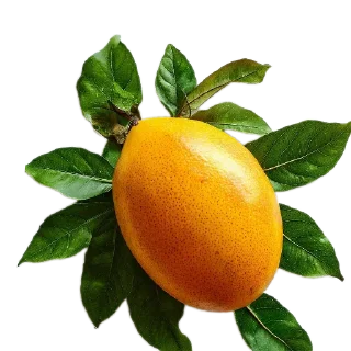 Стикер Active_WATER @MoiStikiBot - 8