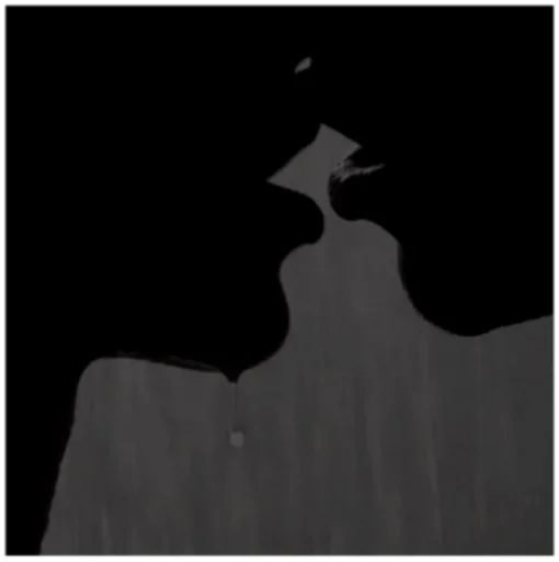 чёрный черно-белый силуэт