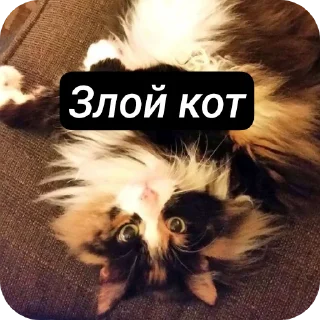 Sticker Ух еееее - 2