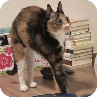 Sticker Ух еееее - 4