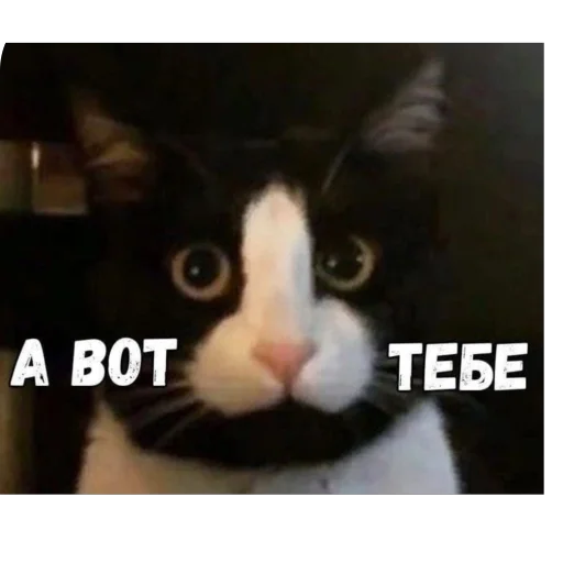 Стикер Adm979 - 1