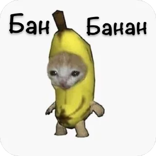 Стикер Адм by @karolinagayden - 7