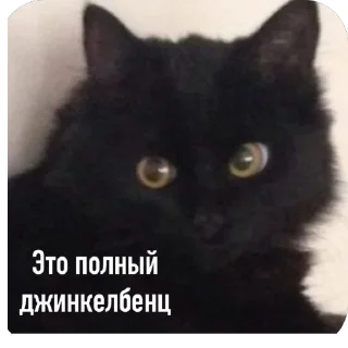 Стикер Адм by @karolinagayden - 9