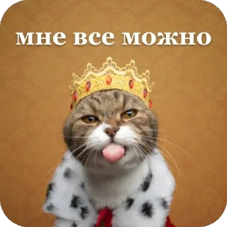 Стикер Адм by @karolinagayden - 8