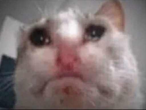 Sticker Adrian_opacha - 1