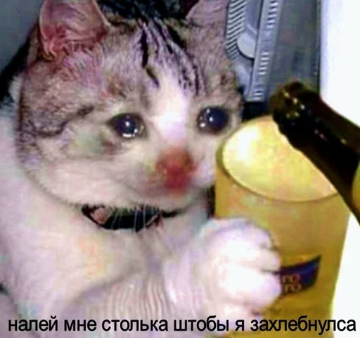 Стикер Adrian_opacha - 1