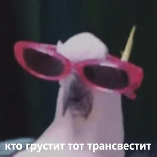 Sticker ОПАЧА - 1