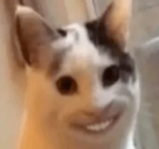 Sticker ОПАЧА - 4