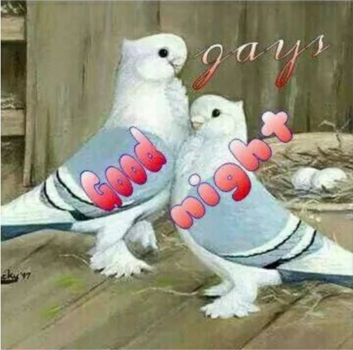 Sticker AdrienMemes - 1