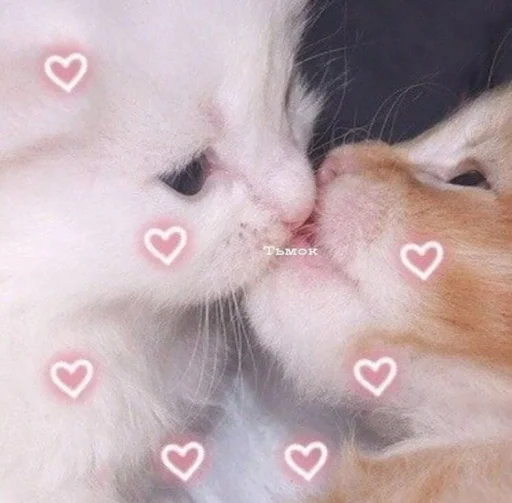 ♡~♡ :: @fStikBot - животное