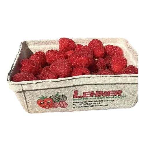 Aesthetic Life @stickersb2b - 