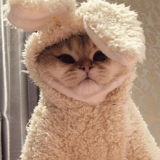 Sticker Aestheticmem - 1