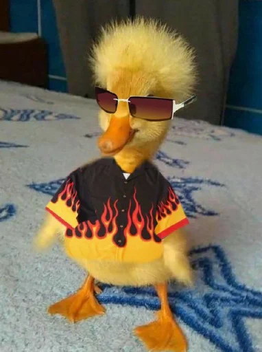 Sticker Aestheticmem - 1