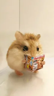 Sticker Aesthetic💖🐙 - 11