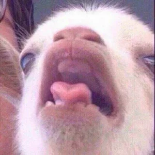 Sticker Aesthetic💖🐙 - 1