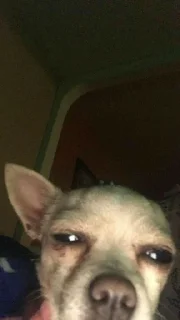 Sticker Aesthetic💖🐙 - 4