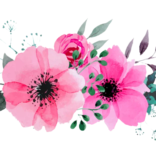 цветок растение лепесток