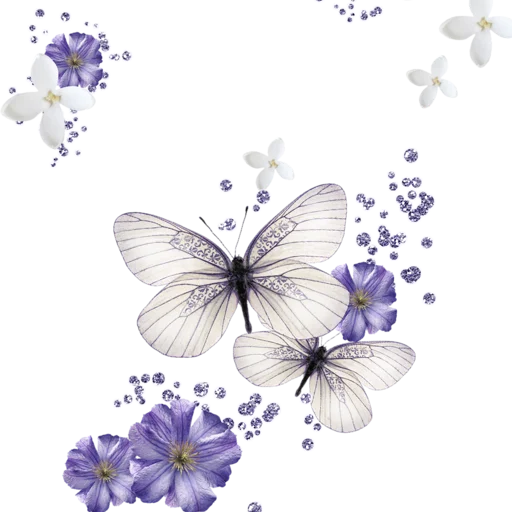 ?????? ????ℎ????? - цветок