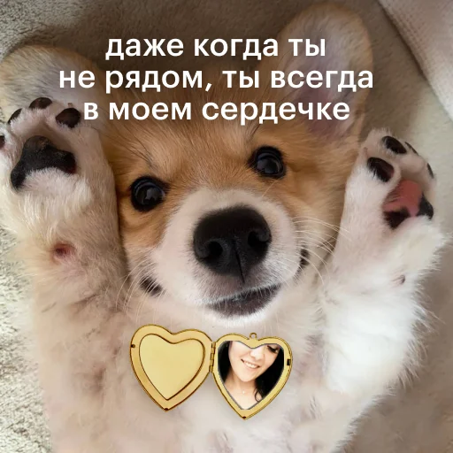 Sticker Aevdokimova_foto6170_by_valentinka_megabot - 1