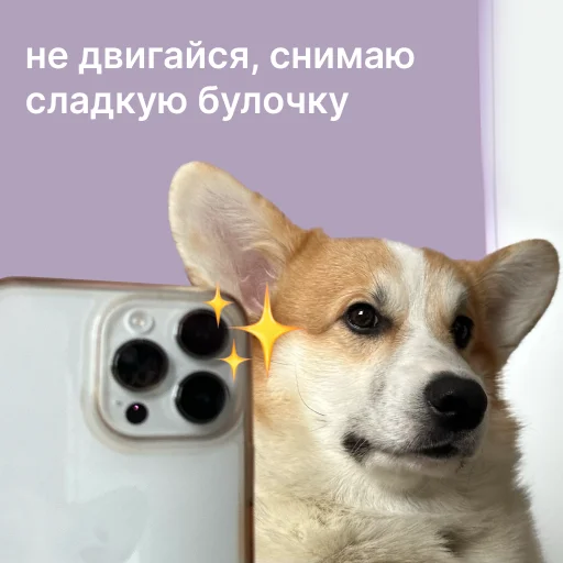 Стикер Aevdokimova_foto6170_by_valentinka_megabot - 1