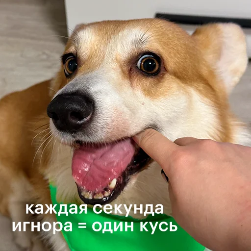 Sticker Aevdokimova_foto6170_by_valentinka_megabot - 1