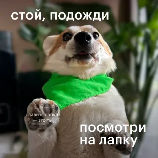 Стикер @valentinka_megabot - 6