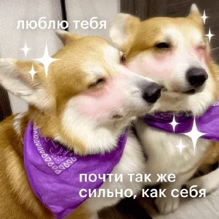 Стикер @valentinka_megabot - 10