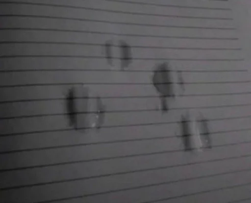 black text handwriting