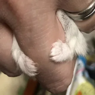 Sticker Больше стиков тут: @stikery4 - 7