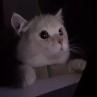 Sticker Больше стиков тут: @stikery4 - 0