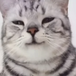 Sticker Больше стиков тут: @stikery4 - 3