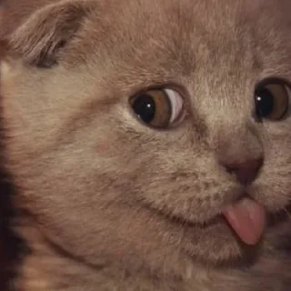 Sticker Больше стиков тут: @stikery4 - 11