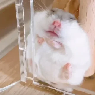 Sticker Больше стиков тут: @stikery4 - 1