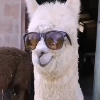 Sticker Больше стиков тут: @stikery4 - 8