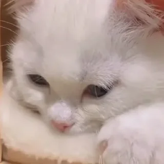 Sticker Больше стиков тут: @stikery4 - 5