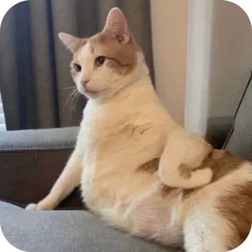 Стикер Aga8914 - 1