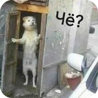 Sticker Первый бл - 7