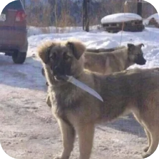 Sticker Первый бл - 2