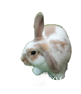 Sticker Агата Максимоф - 1