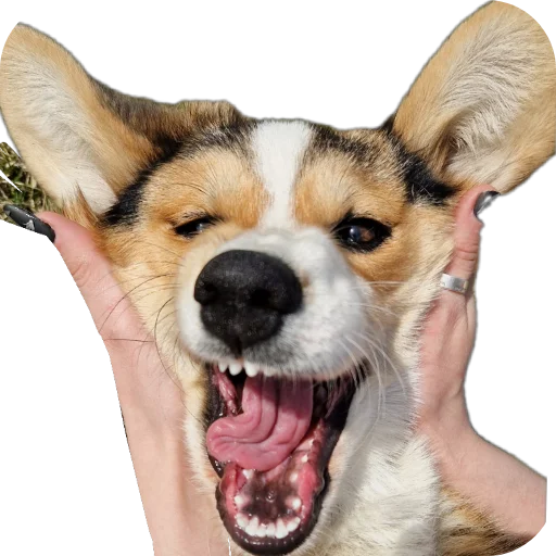 Sticker Agatik42 - 1