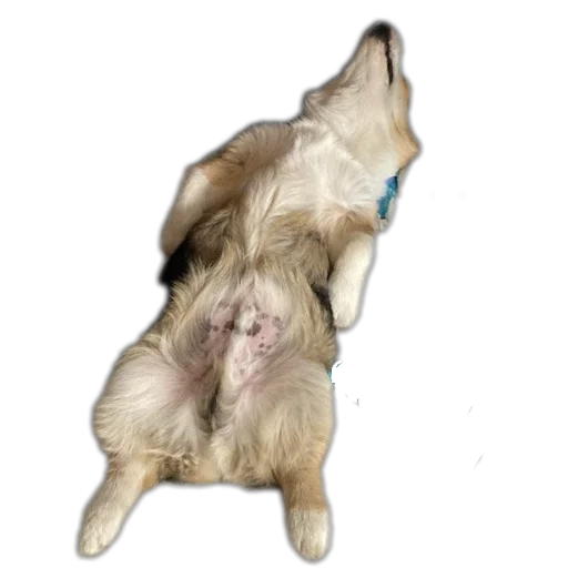 Стикер Agatik42 - 1