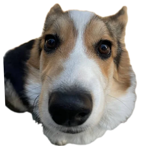 Стикер Agatik42 - 1