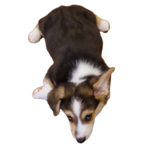 Стикер Agatik42 - 1