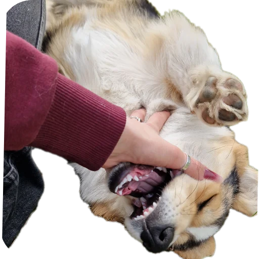 Sticker Agatik42 - 1