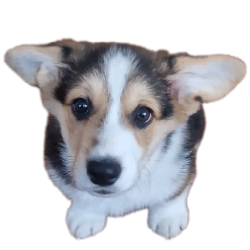 Стикер Agatik42 - 1