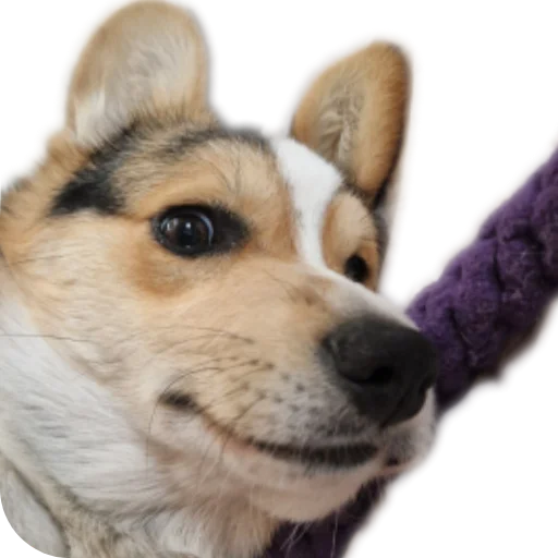 Стикер Agatik42 - 1